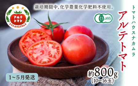 ＜2027年1月～5月頃まで発送＞アルテトマト  約800g（10～16玉）×1箱 フルーツトマト 高知県 佐川町 トマトハウスナカムラ 【常温】 栽培期間中化学農薬・化学肥料不使用 有機JAS　