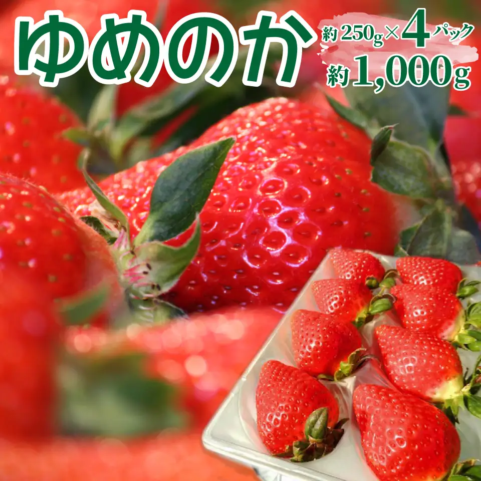いちご　ゆめのか 250g×4パック　秀品　苺【期間・数量限定】贈答用　＜2027年1月下旬～3月下旬頃発送予定＞