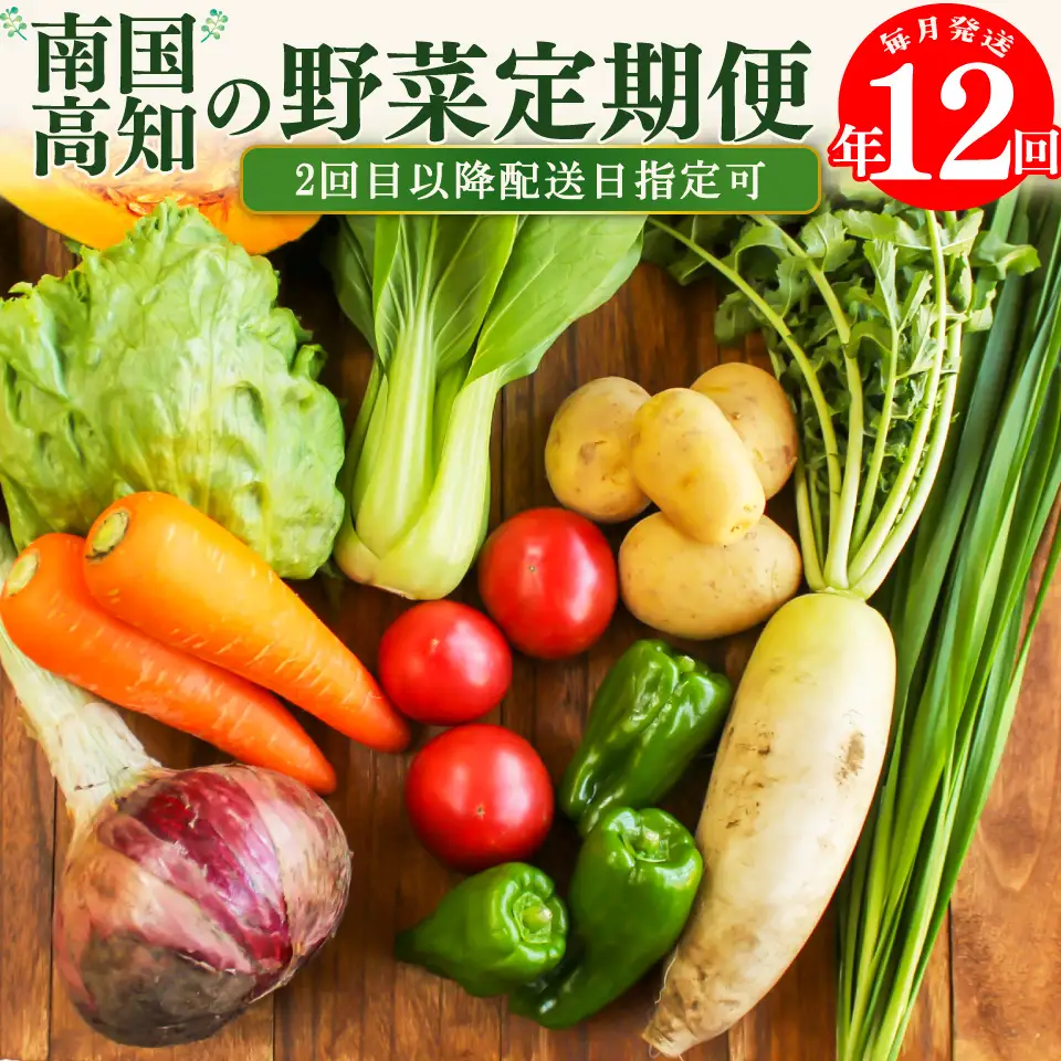 【ふるさと納税】年12回発送！＜南国高知から直送！旬の季節のお野菜定期便（7～9品）＞毎月お届け 野菜セット 野菜便 詰め合わせ 【冷蔵】 旬の時期にお届け 2回目以降、着日時間指定可能 こうち育ち 佐川町