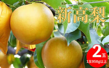 ≪秀品≫黒岩梨生産者組合の新高梨（２玉／１玉８００g以上）【期間限定】　2026年秋発送