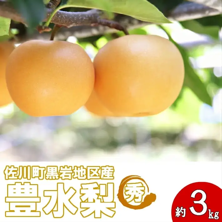 ＜2026年秋発送 先行受付中！＞豊水　梨（約３kg／4～7玉）