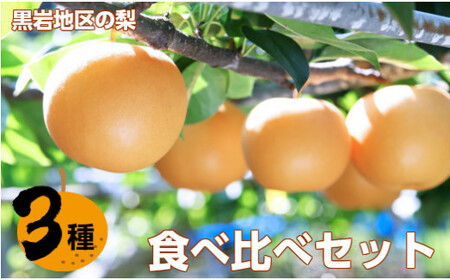 佐川の梨　旬の時期に3品種　定期便（豊水／あきづき／新高）2026年秋発送分受付中【数量限定】　2025年秋発送