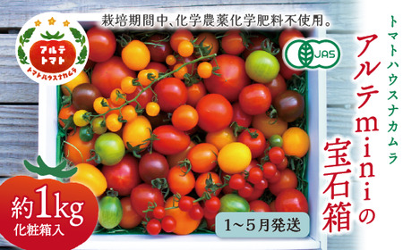 ＜2027年1月～5月頃まで発送＞アルテminiの宝石箱 約1kg×1箱 フルーツトマト 高知県 佐川町 トマトハウスナカムラ【常温】栽培期間中化学農薬・化学肥料不使用 有機JAS　