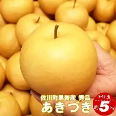 あきづき　梨（約５kg／8～12玉）【期間限定・先行予約受付】秋月梨　2026年秋発送