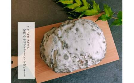 【ふるさと納税】＜シュトーレン シュトレン 2個 ＞焼菓子 クリスマス ドイツ 高知県 佐川町 こじゃんとはたら来家さかわ【常温】入金確認後 順次発送予定 送料無料 ギフト 手土産