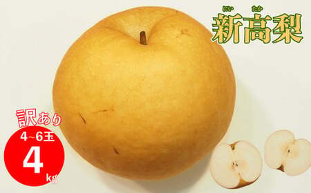 ≪訳あり品≫新高梨 4～6玉 （約 4kg）【常温】【10月中旬～10月下旬発送】2026年秋発送