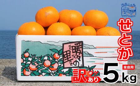 訳あり せとか 家庭用 5kg ｜産地直送 国産 柑橘 期間限定 数量限定 ご当地 愛媛県 松山市【OCF0043】