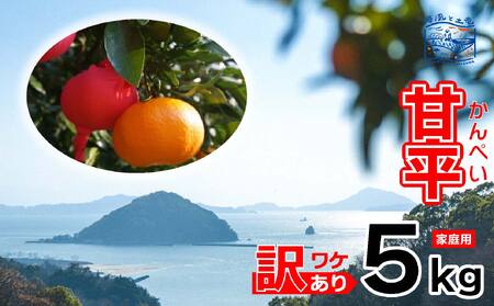 訳あり 甘平 家庭用 5kg ｜ 産地直送 国産 柑橘 【2027年1月下旬頃から順次発送】【OCF005】