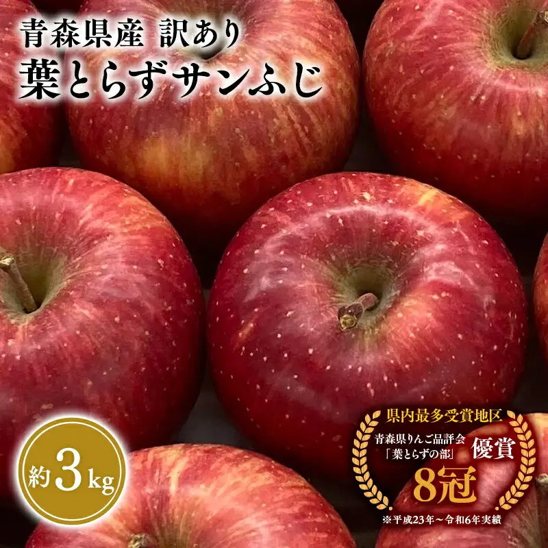 りんご 訳あり 葉とらずサンふじ 約3kg[hi-0023-002]