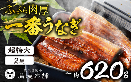 一番うなぎ蒲焼 超特大2尾 国産 うなぎ