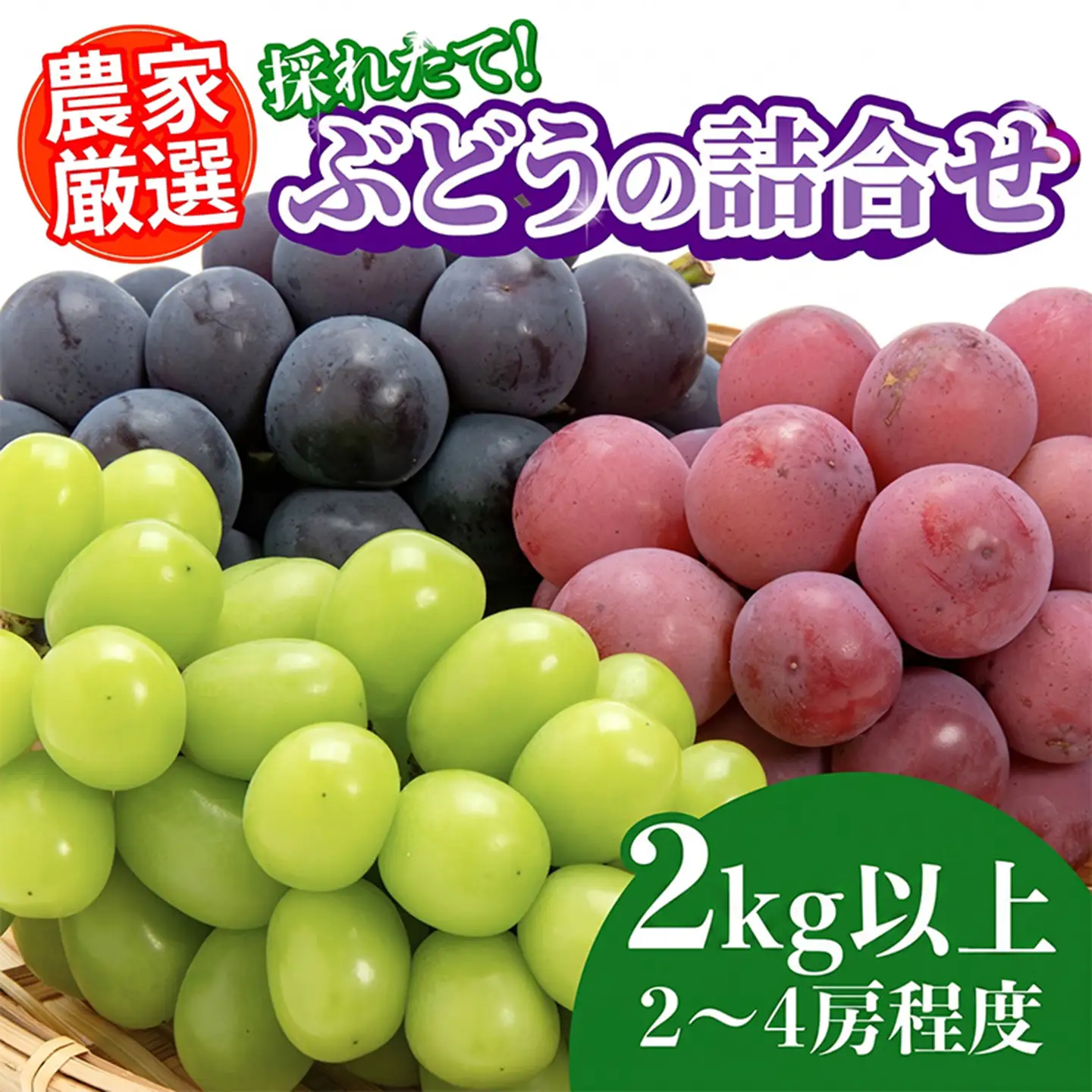 【数量限定先行予約】【9月以降順次発送】農家厳選！採れたてぶどうの詰合せ（品種おまかせ）2kg以上（2～4房程度）果物　シャインマスカット