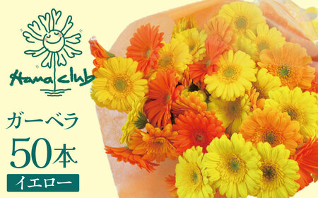 【ラッピング付】生花 イエローオレンジガーベラ の花束 50本 日付指定可能 ギフト プレゼント ラッピング 産地直送 インテリア お花 フラワー ボリューム満点 H193-014