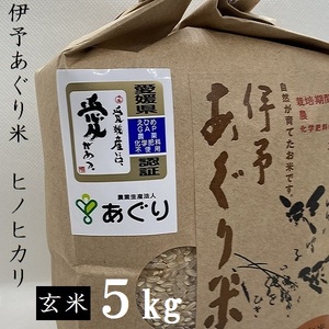 米 玄米 5kg 伊予あぐり米「ヒノヒカリ」【AGR0020_5R6_x】米米米米米米米米米米米米米米米米米米