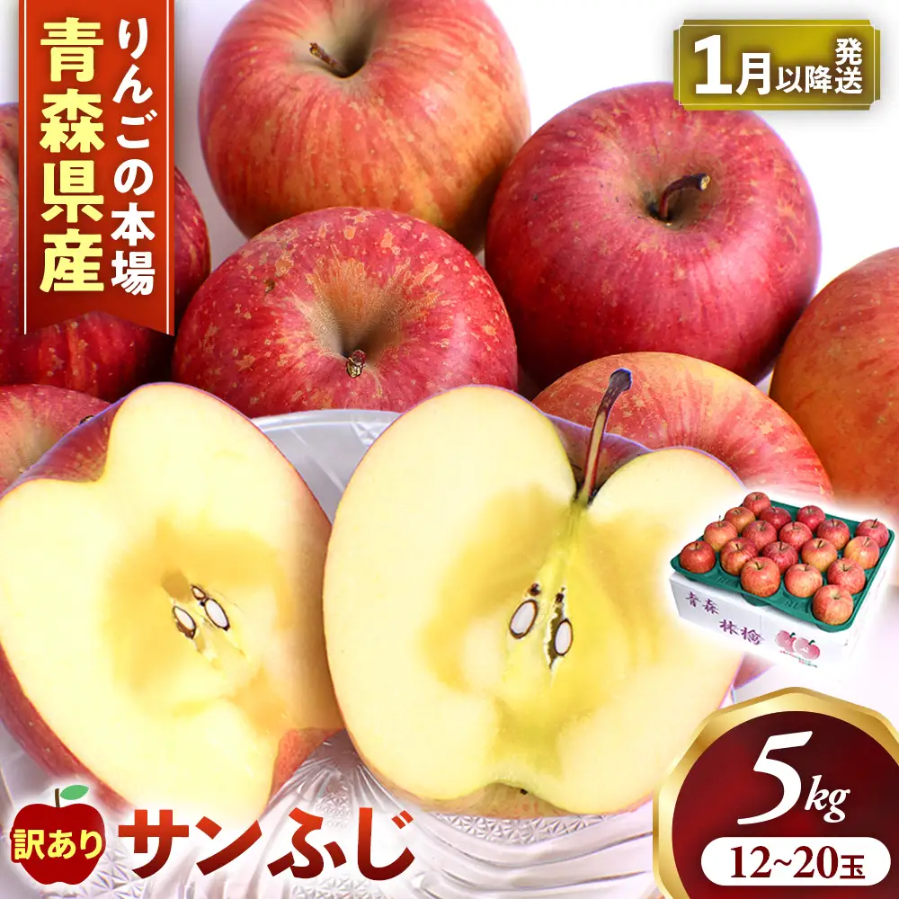 【訳あり】 青森県産りんご サンふじ 約5kg 1月～ りんご