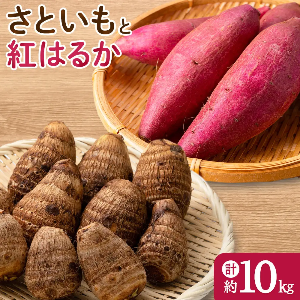 ＜先行予約受付中！10月上旬～2月下旬発送予定＞さといもと紅はるかのセット(約10kg) 【鳥取県 境港市】