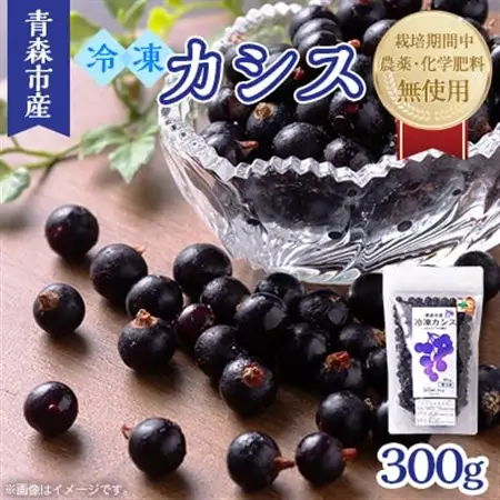 青森市産冷凍カシス300g【令和8年7月収穫品】_果物・フルーツ   くだもの_【配送不可地域：離島】【1543579】