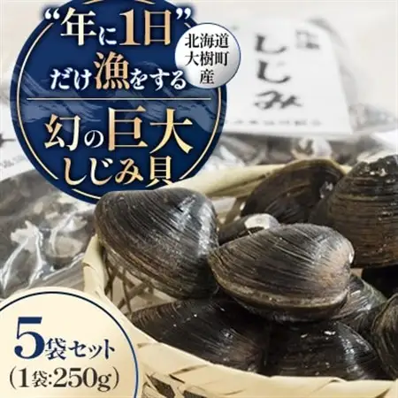 【数量限定】幻の「巨大しじみ貝」5袋セット(250g×5袋)_魚介・海産物 しじみ 貝 シジミ 蜆_【配送不可地域：離島】【1542036】