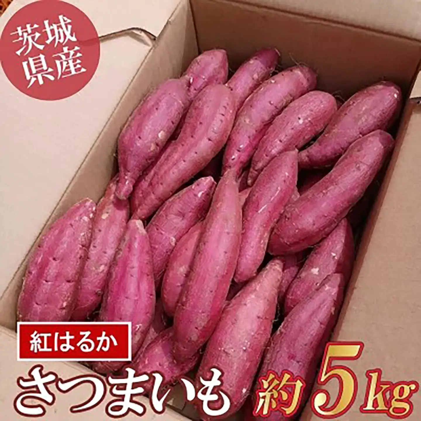 さつまいも 茨城県産 紅はるか 5kg さつまいも