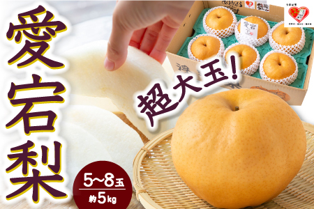 【先行予約】佐藤ファーム 愛宕梨 5玉から8玉(約5kg) 2026年11月上旬 出荷予定