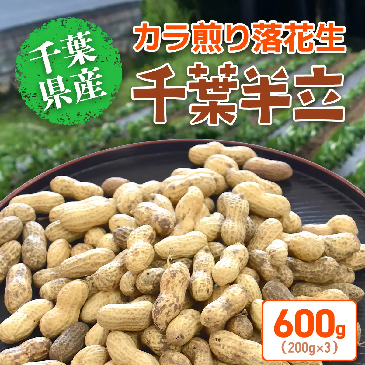 【先行予約】【12月上旬から発送】千葉県産 カラ煎り落花生 千葉半立 600g（200g×3） SMF004
