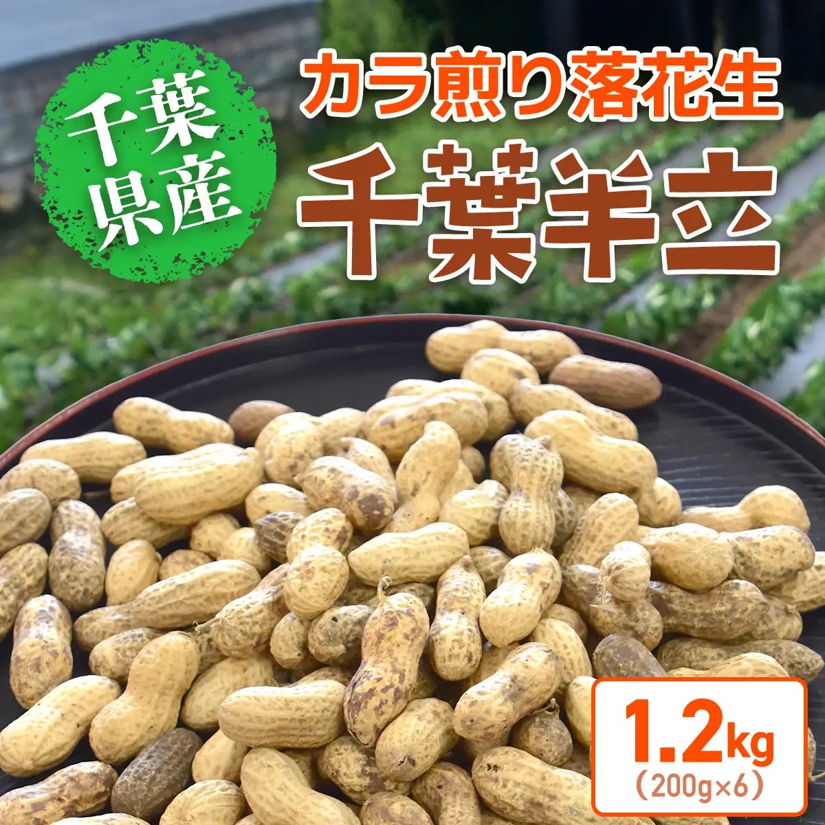 【先行予約】【12月上旬から発送】千葉県産 カラ煎り落花生 千葉半立 1.2kg（200g×6） SMF005