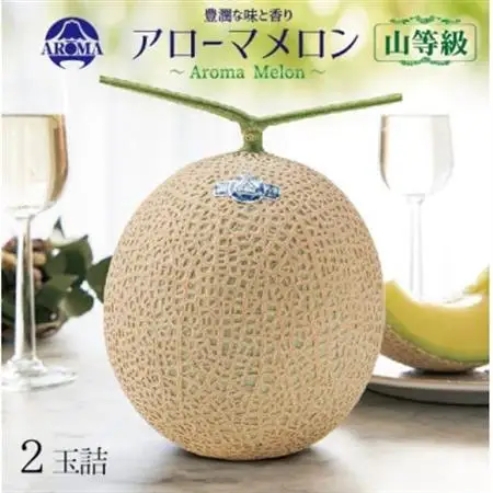 【通年出荷】アローマメロン(山等級) 2玉入【品格溢れる高級品】【配送不可地域：離島・北海道・沖縄県】【1170114】