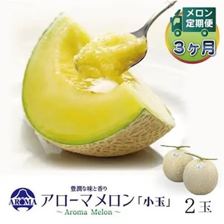【毎月定期便】アローマメロン(小玉) 2玉 全3回【配送不可地域：離島・北海道・沖縄県】【4013010】