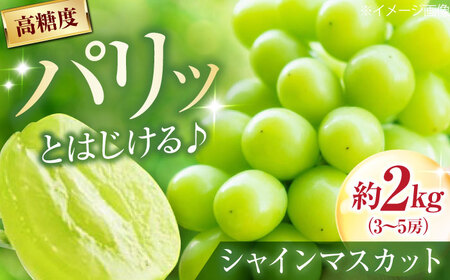 【先行予約】シャインマスカット 約2kg 3-5房入 BKAD043 マスカット
