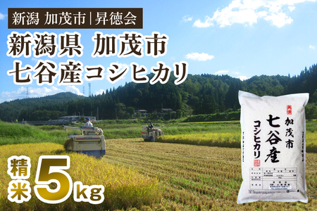 【令和8年産新米先行予約】七谷産コシヒカリ 玄米5kg 《10月中旬～順次出荷》 高柳地域産数量限定 昇徳会