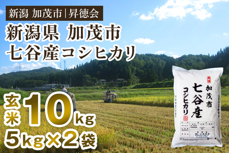 【令和8年産新米先行予約】七谷産コシヒカリ 玄米10kg（5kg×2）《10月中旬～順次出荷》 高柳地域産数量限定 昇徳会