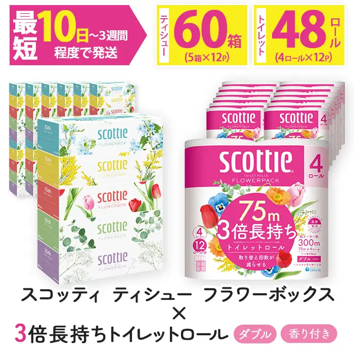 スコッティトイレットロール 48個 + ボックスティッシュ 60箱（トイレットペーパー ティッシュ）