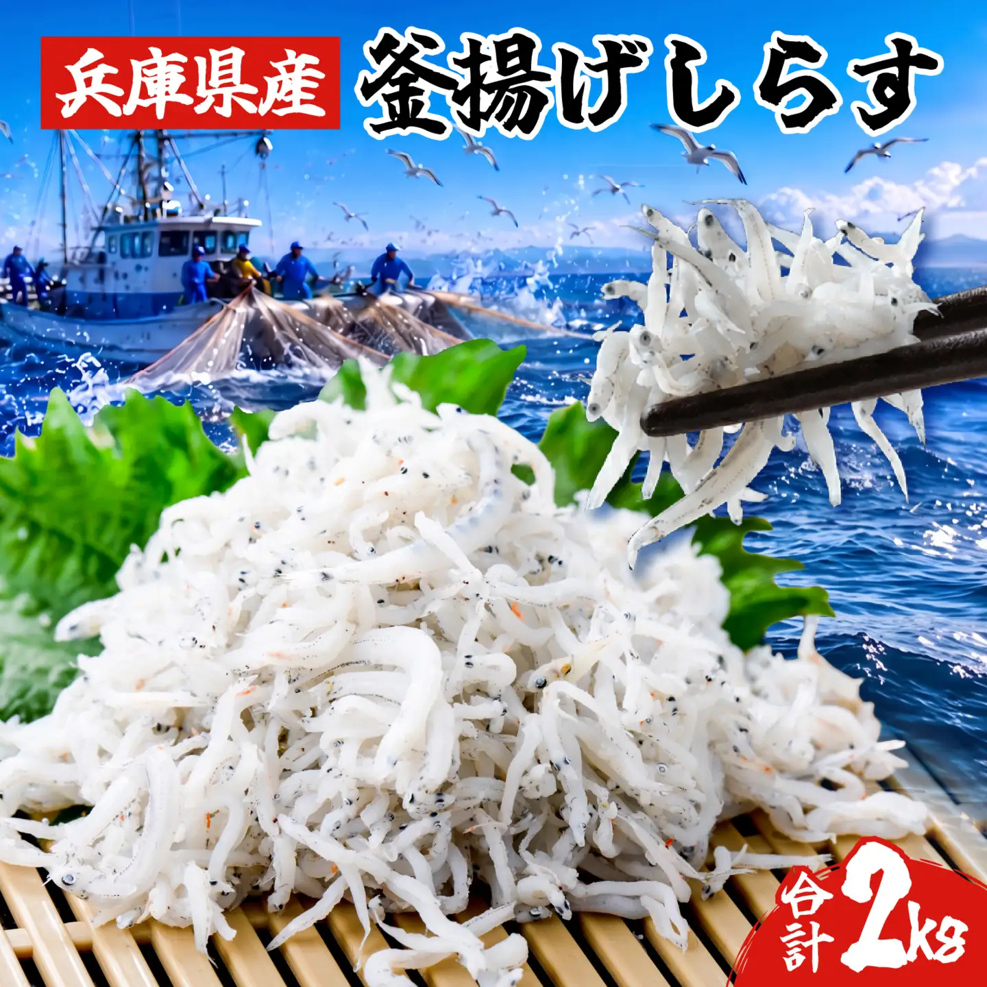 釜揚げ しらす 2kg 兵庫県産 /  しらす