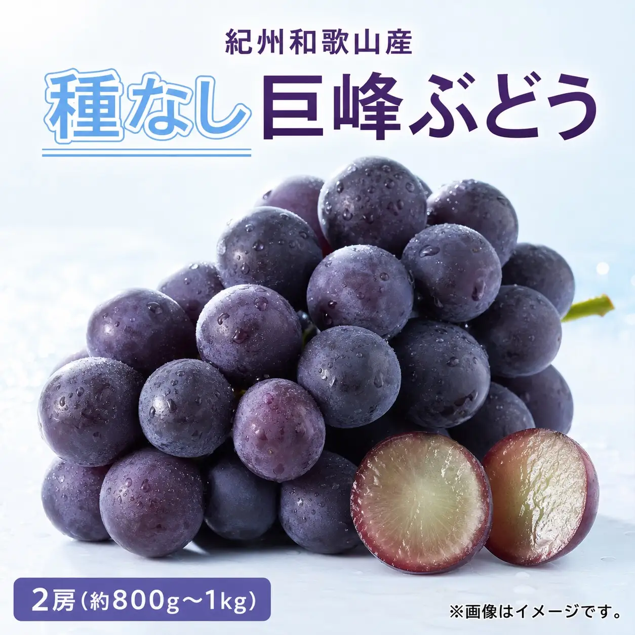 紀州和歌山産の種なし巨峰ぶどう２房（約800g～1kg）※2027年8月中旬頃〜9月上旬頃に順次発送予定 / ぶどう ブドウ 葡萄 種無し フルーツ 果物 くだもの【uot814A】