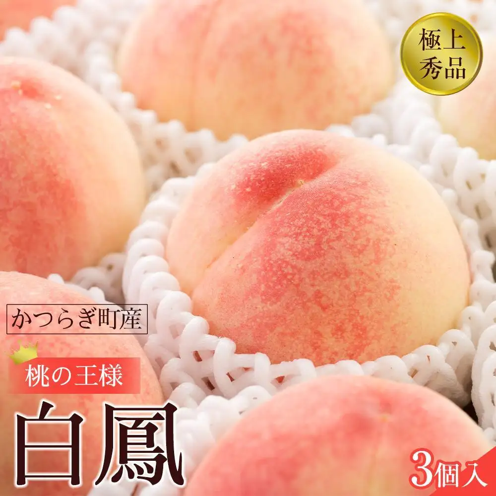 先行販売！［モモ］ 白鳳　桃の王様！食べきりやすい３個入り［2027年6月下旬頃より順次発送］［秀品］こだわり農家厳選 ［KG17］