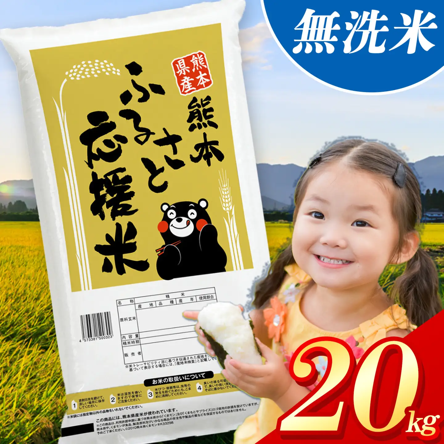 無洗米 ふるさと応援米 熊本県産 20kg 無洗米《1-5日以内に出荷予定(土日祝除く)》