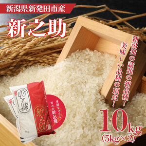 新之助 10kg 5kg 2袋 新潟 米 新之助10kg 新之助精米 新之助白米 新潟産新之助 watasho008_1