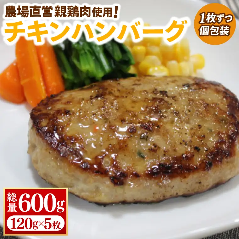 チキン ハンバーグ 120g×5枚 (AJ017) 農場直営親鶏肉使用 ハンバーグ