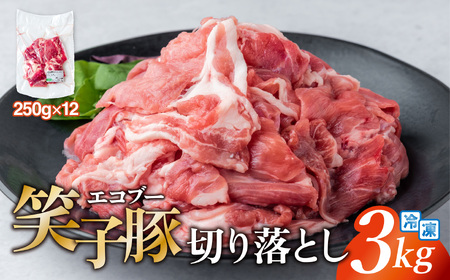豚肉 切り落とし 小分け 3kg (250g×12) 真空パック 冷凍 笑子豚 岩手県 金ケ崎町