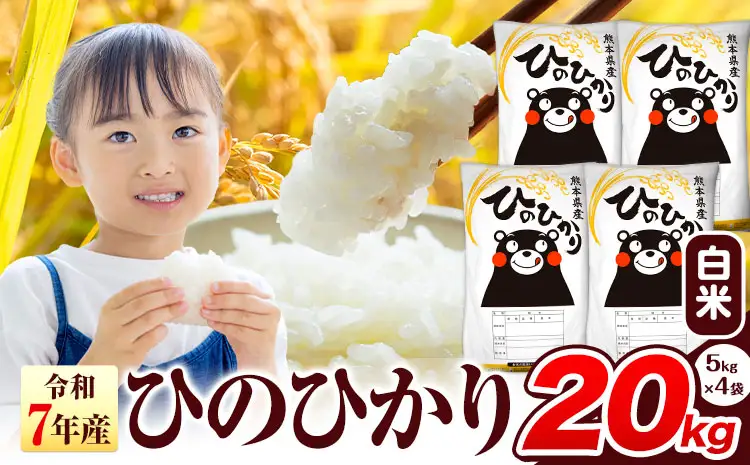 令和7年産 ひのひかり 白米 20kg 米
