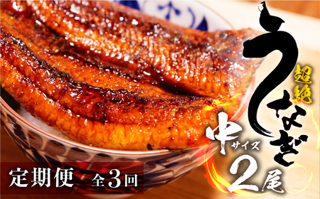 うなぎ蒲焼 中2尾 定期便3回 超絶 うなぎ