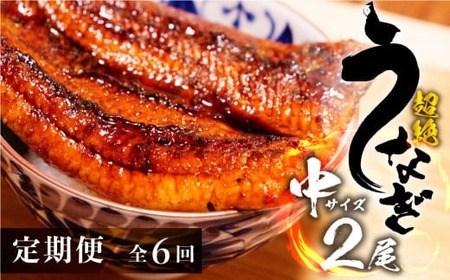 うなぎ蒲焼 中2尾 定期便6回 超絶 うなぎ