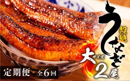 うなぎ蒲焼 大2尾 定期便6回 超絶 うなぎ