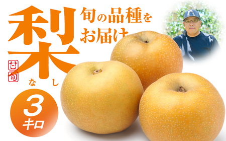 小島梨 3kg ~9玉 朝倉 産地直送 梨