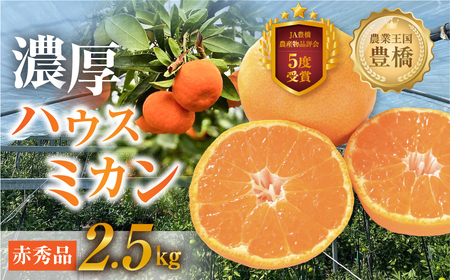 ハウスみかん 2.5kg 赤秀 笑和園 みかん