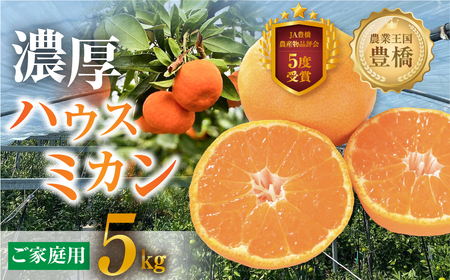 ハウスみかん 5kg 家庭用 笑和園 みかん
