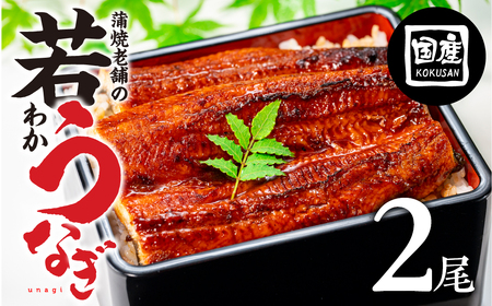 国産若うなぎ 2尾 蒲焼 うなぎ