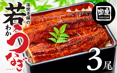 国産若うなぎ 3尾 蒲焼 うなぎ