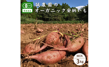  種子島 産 オーガニック (有機) 種子島安納いも (誠農園) ３kg　NFN599 【250pt】