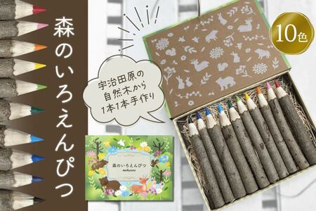 森のいろえんぴつ 10色（色鉛筆 色えんぴつ