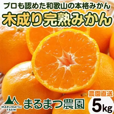 【2026年12月～2027年1月発送】完熟濃厚 木成り温州みかん ミックスサイズ 5kg 和歌山県【配送不可地域：離島】【1544146】